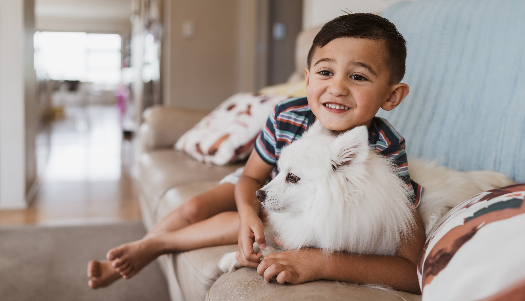 Toddler and Japanese Spitz dog on living room sofa