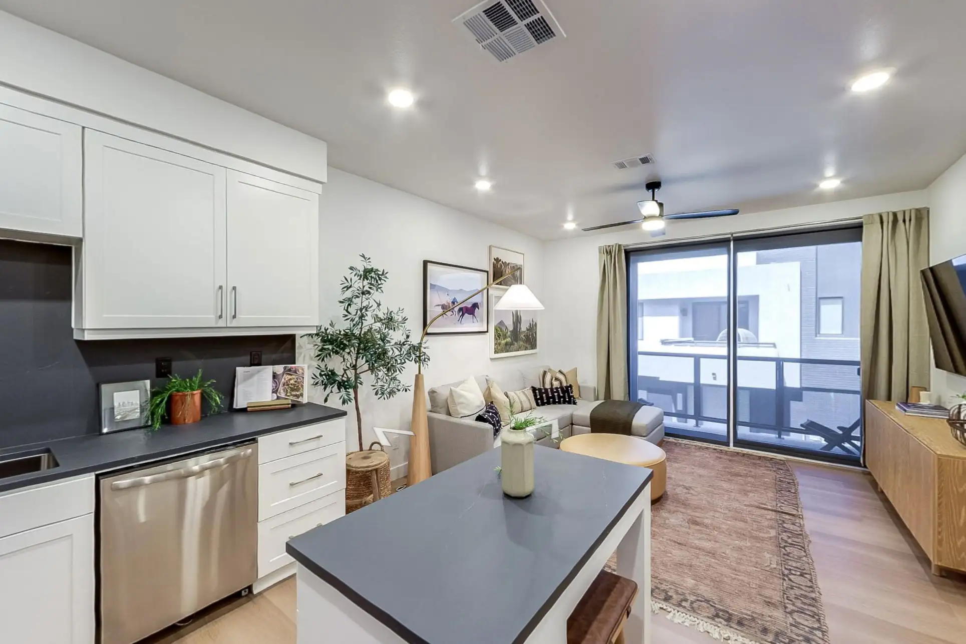 Mason Virtual Tour Plan C1 Furnished